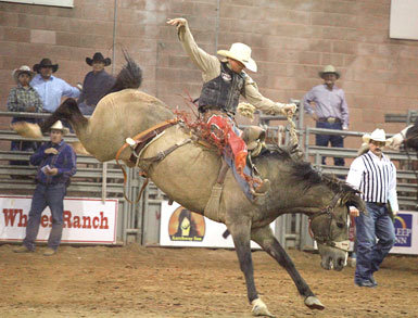 Rodeo